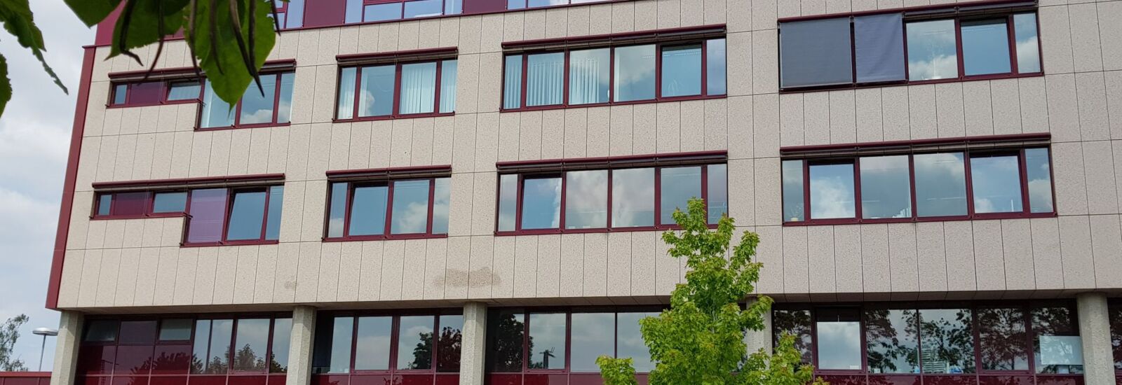Gebäude des IFD Heidelberg in der Hebelstraße
